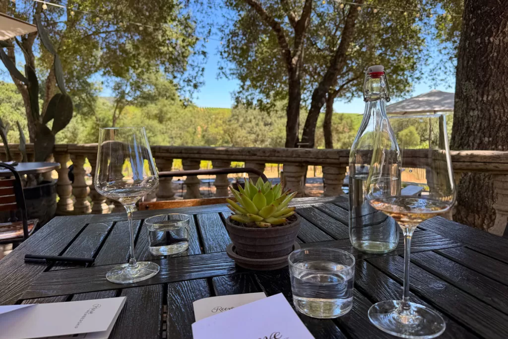 Two rose-filled wine glasses on a table overlooking the vineyard at Reeve Winery near Healdsburg, California.