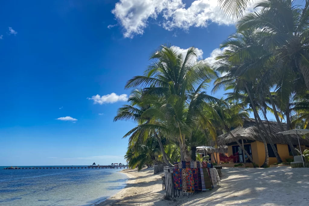 A beach-colored thatched hut sits under tropical palm trees on a beach in Ambergis Caye, Belize.