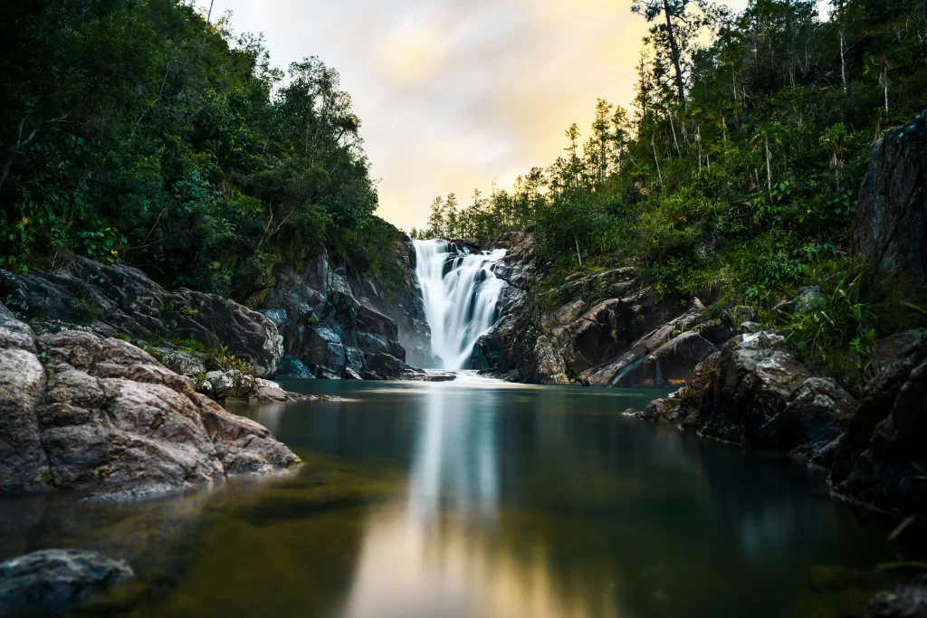 A waterfall cascades past lush jungle in Belize's Mountain Pine Ridge Forest Reserve.