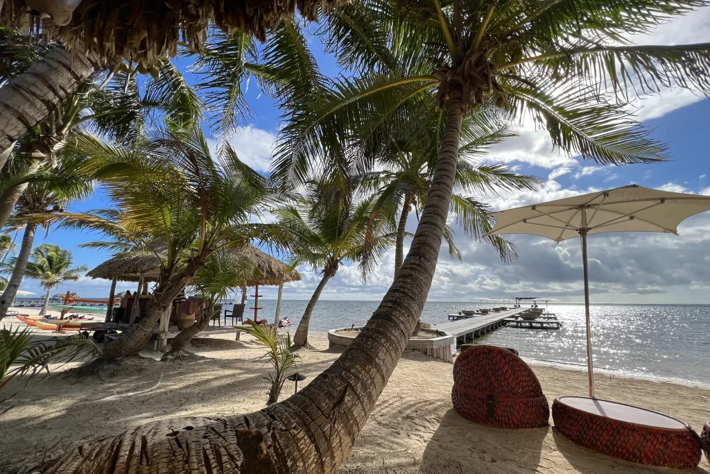 Tropical palms line the beaches of Ambergris Caye, Belize. The island is one of the most popular destinations on a Belize itinerary.