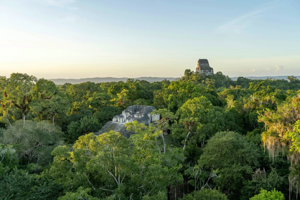 The panorama from the top of Tikal's Temple IV looks across the jungle canopy to other Mayan pyramids in Tikal, Guatemala.