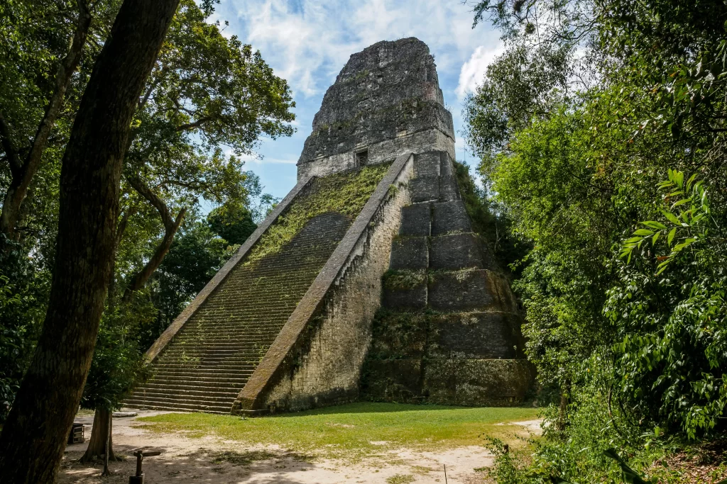 Tikal's Temple V pyramid rises above the jungle floor in a small clearing in Tikal, Guatemala.
