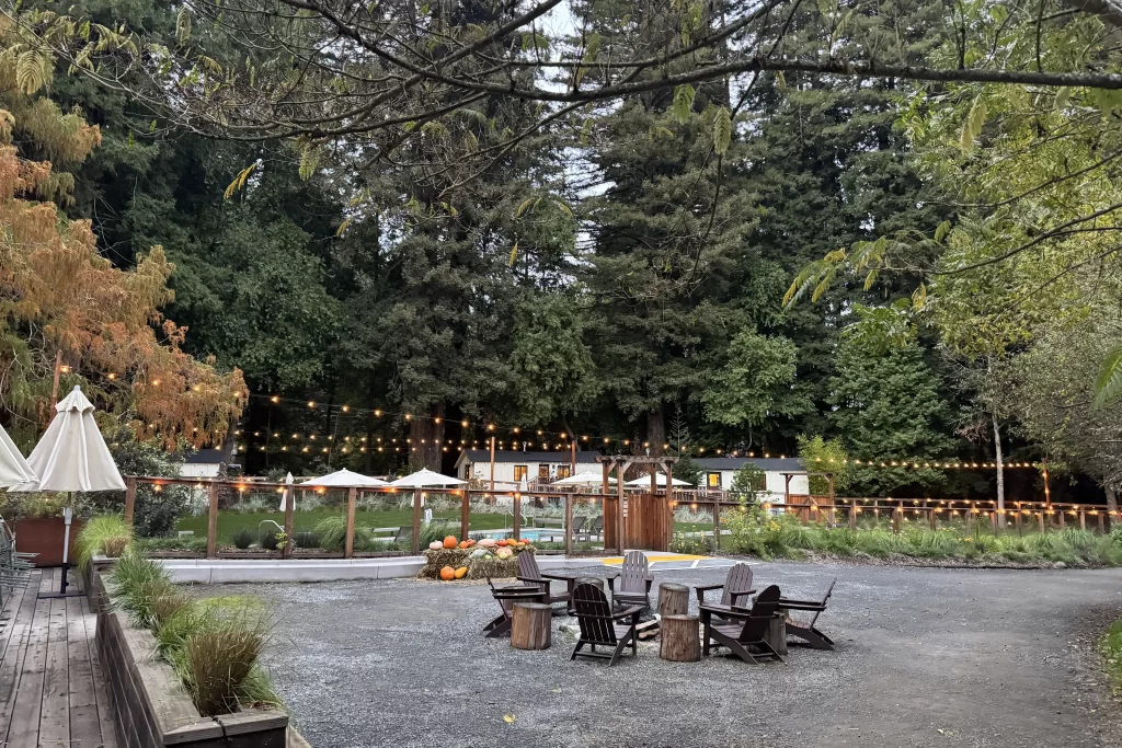 Rustic wooden Adirondack chairs and strung lights sit beneath towering redwood trees at Dawn Ranch in Guerneville, California.