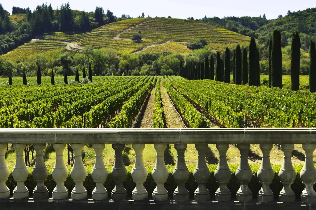 Lush vineyards line the valley and hillsides beyond at Ferrari Carano winery in Sonoma, California.