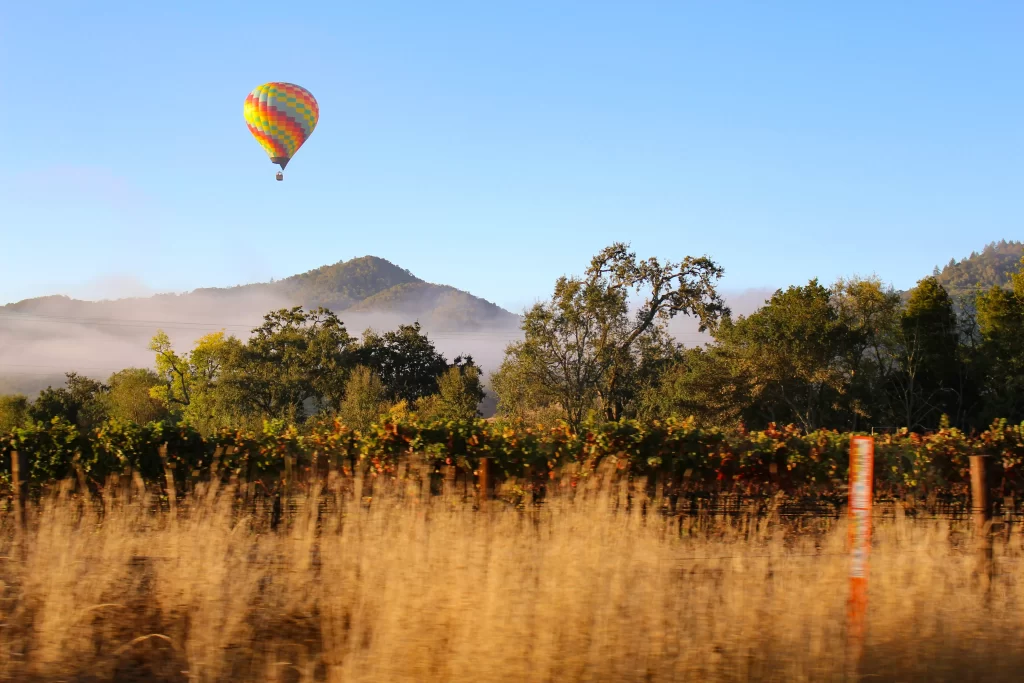 A hot air balloon flies above vineyards in Napa, California.