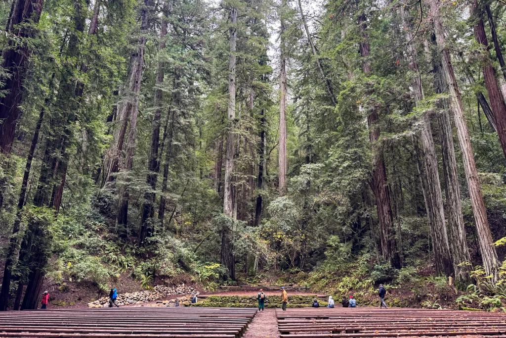 Visitors walk among the outdoor Redwood Forest Theater, set beneath towering redwood trees in Armstrong Redwoods State Natural Reserve.