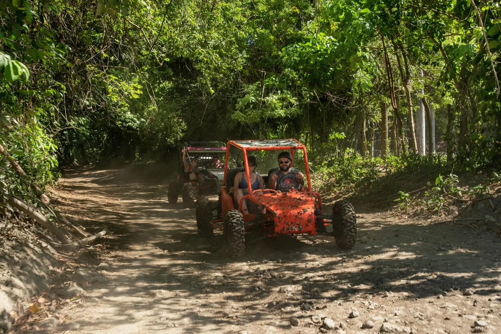 ATVs drive along a dirt road through a jungle.