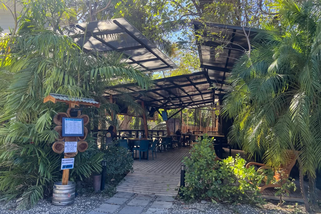 The palm-lined exterior of Blue Zone Brewery in Playa Guiones, Costa Rica.