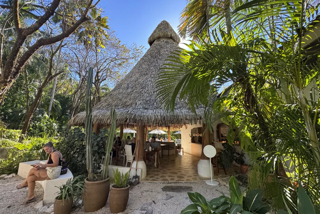 The lush, palm-lined exterior of Organico Cafe in Playa Guiones, Costa Rica.