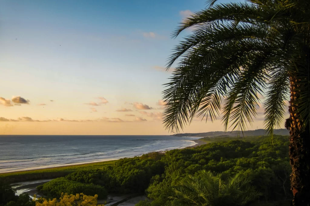 A panorama of the Nosara, Costa Rica coastline, framed by a palm tree.