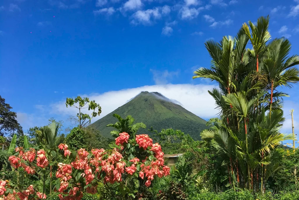 Arenal Volcano rises against a foreground of palm trees and flowers. Arenal is a popular destination for first-timers deciding where to go in Costa Rica.