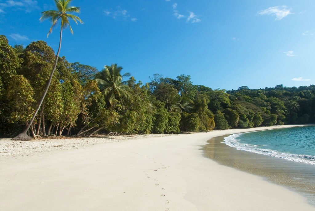 The crescent-shaped white sand beach of Costa Rica's Manuel Antonio National Park.