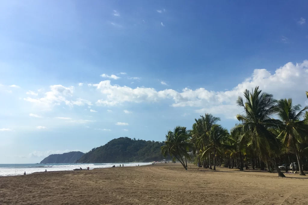The sandy, palm-lined beach of Jaco, Costa Rica.