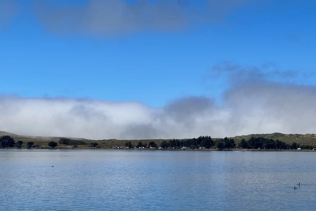 Bodega Bay in Sonoma County, California, with low rolling hills and a fog bank in the distance.