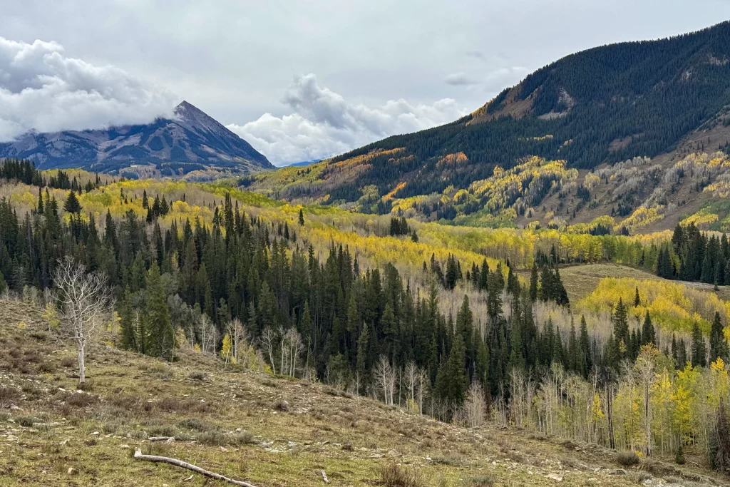 Colorful fall foliage along Gothic Valley near Crested Butte, Colorado.