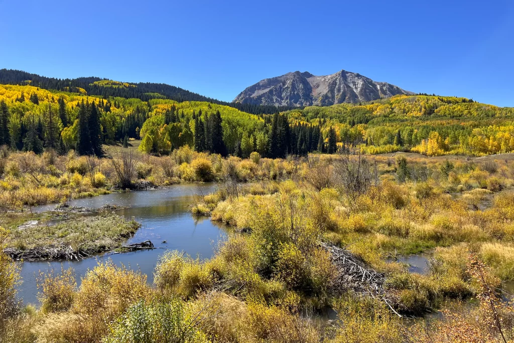 Beaver ponds sit in a fall-colored valley along Kebler Pass in Colorado.
