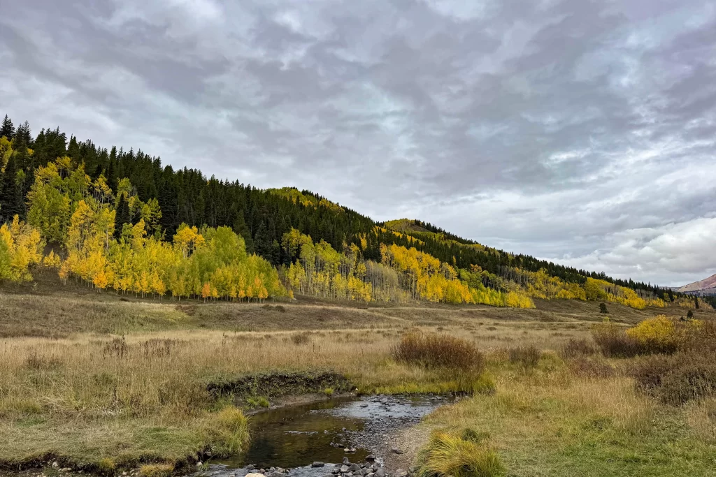Fall color decorates the trees lining the valley in Washington Gulch, near Crested Butte, Colorado.