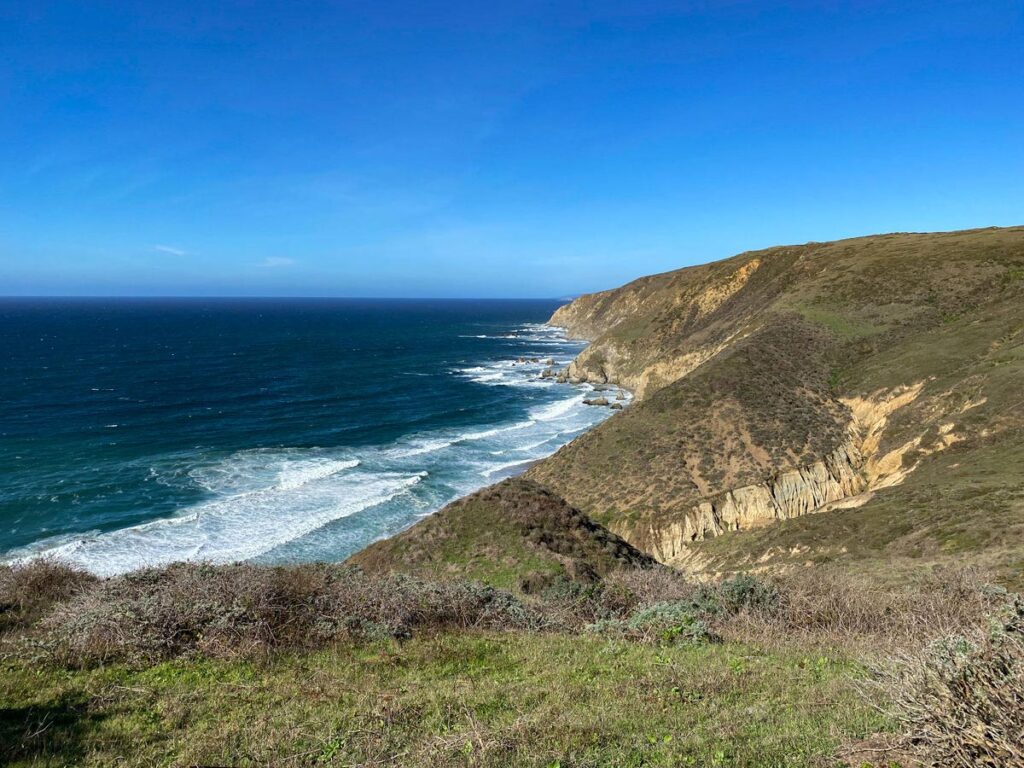 The dramatic coastline of Point Reyes, as seen from the Tomales Point trail. Sheer cliffs drop vertically to a deep blue Pacific Ocean below.