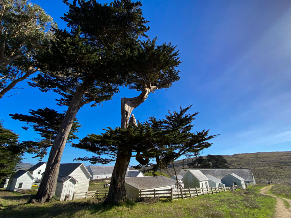 White buildings dot the remote windswept hillsides of the Pierce Point Ranch in Point Reyes, California. Now maintained by the National Park Service, this is the parking lot for the Tomales Point Trail.