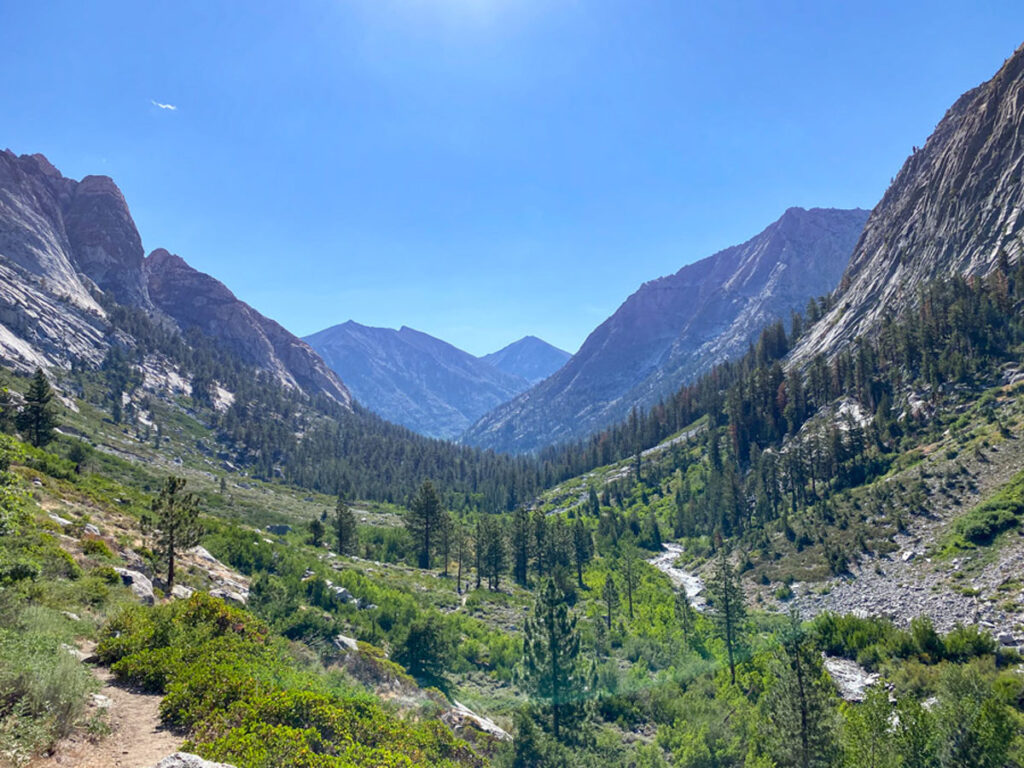 Castle Domes Meadow, on the Rae Lakes Loop in Kings Canyon National Park, is a wide valley of exposed pine and green grasses, with a small creek running through.