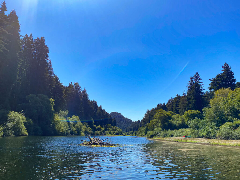 The Russian River, just outside of Guerneville, California, with tall redwoods and mixed conifers lining the banks.