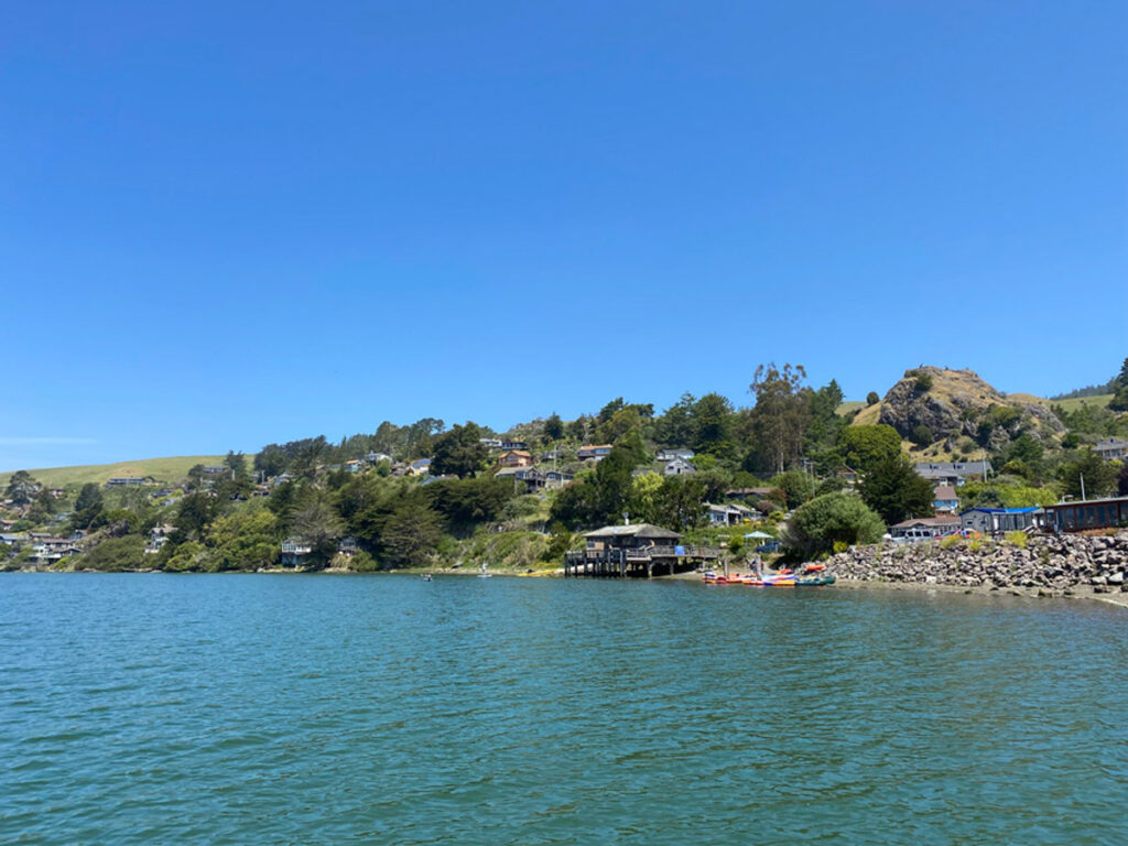 The small town of Jenner, California is seen from the Russian River, with small homes dotting the green hillsides.