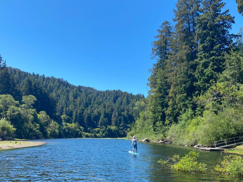 A lone paddle boarder paddles down the Russian River near Monte Rio, California, with tall redwood trees along the riverbanks.