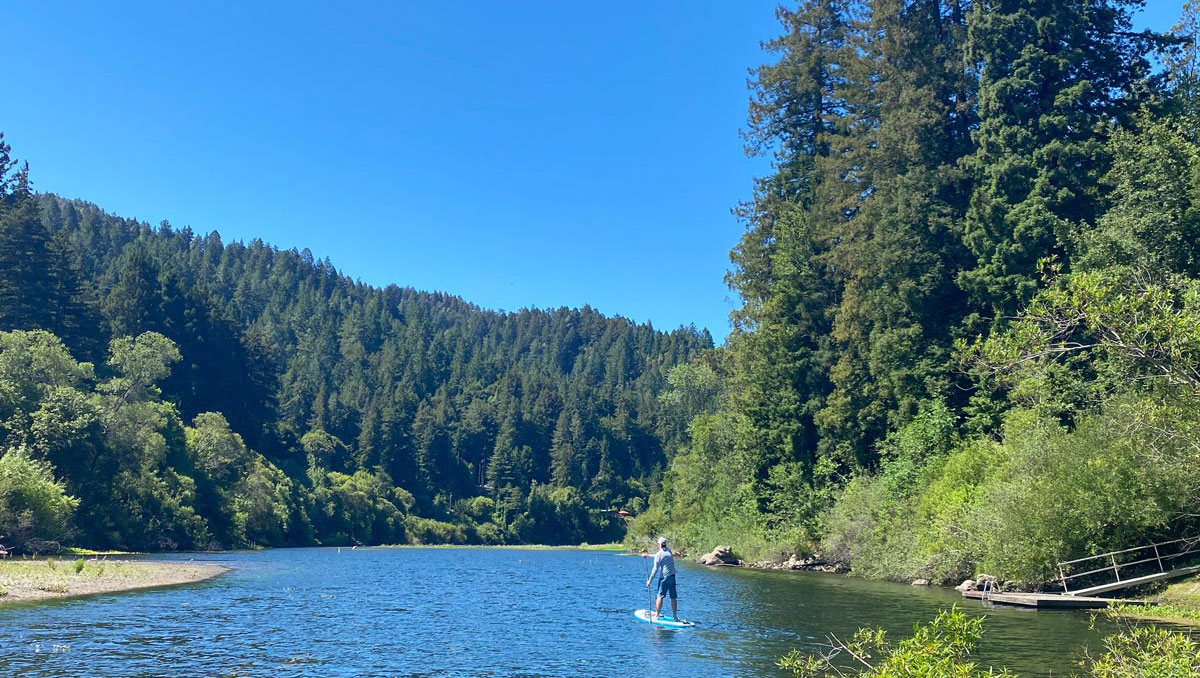 A lone paddle boarder paddles down the Russian River near Monte Rio, California, with tall redwood trees along the riverbanks.