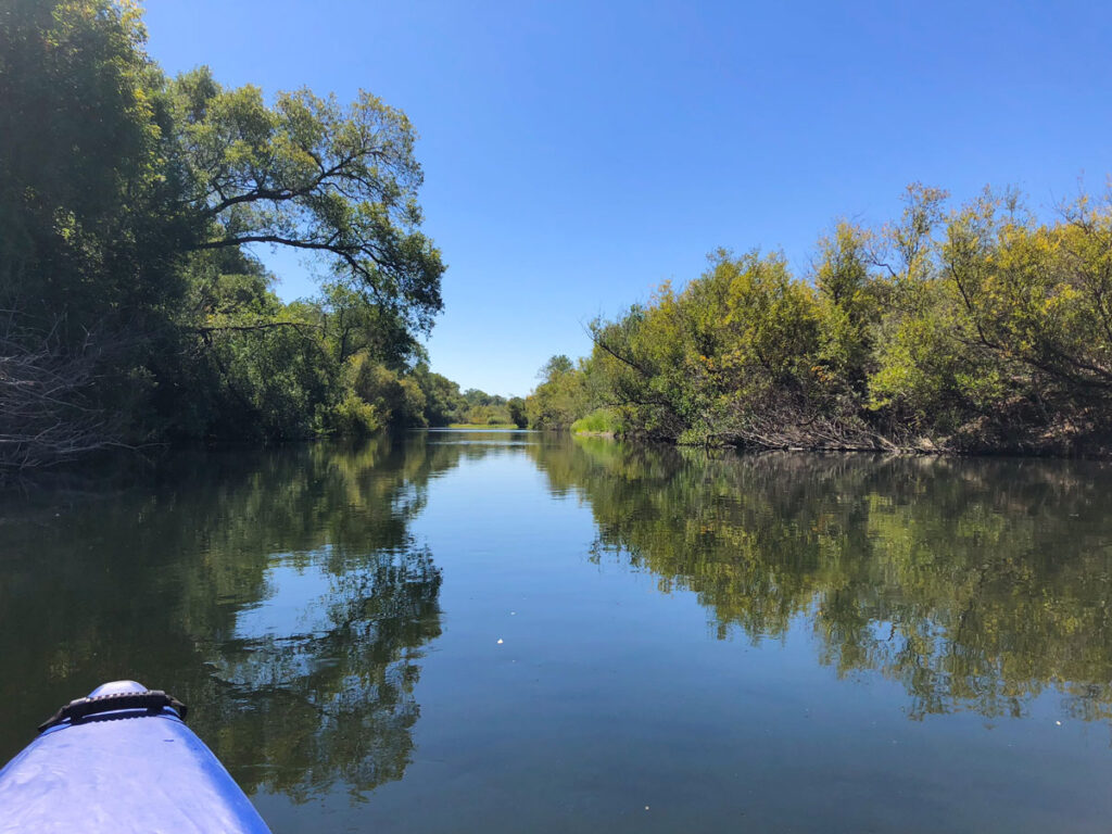 A kayaker's view paddling the Russian River to Wohler Bridge in Sonoma County, California.