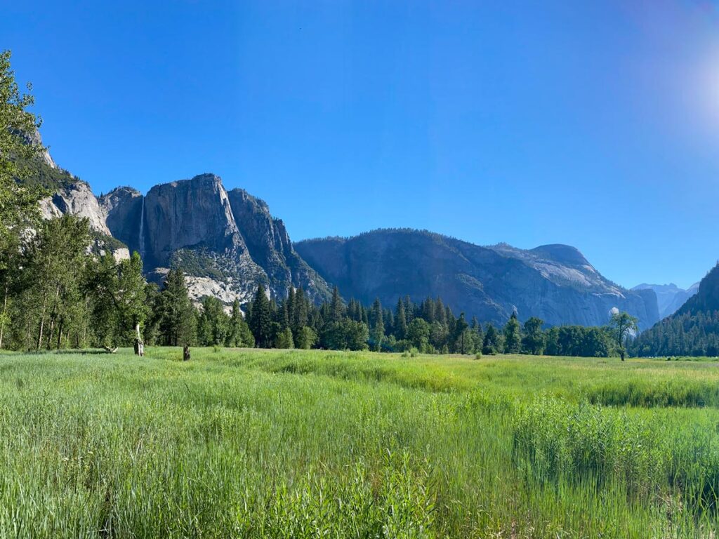 Sentinel and Cook's Meadow in Yosemite Valley, with tall grasses in the foreground looking back to Yosemite Falls in the distance. The meadows are one of the more popular easy hikes in Yosemite. 