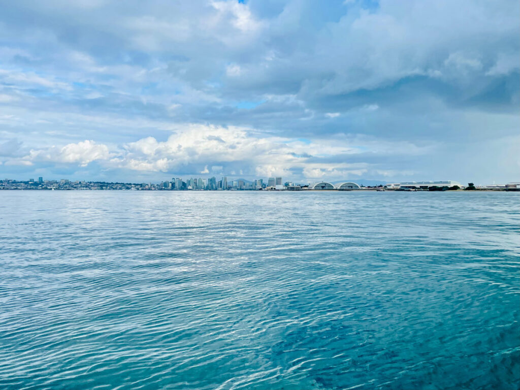 The view from a paddle board in San Diego Bay, looking south towards the downtown skyline