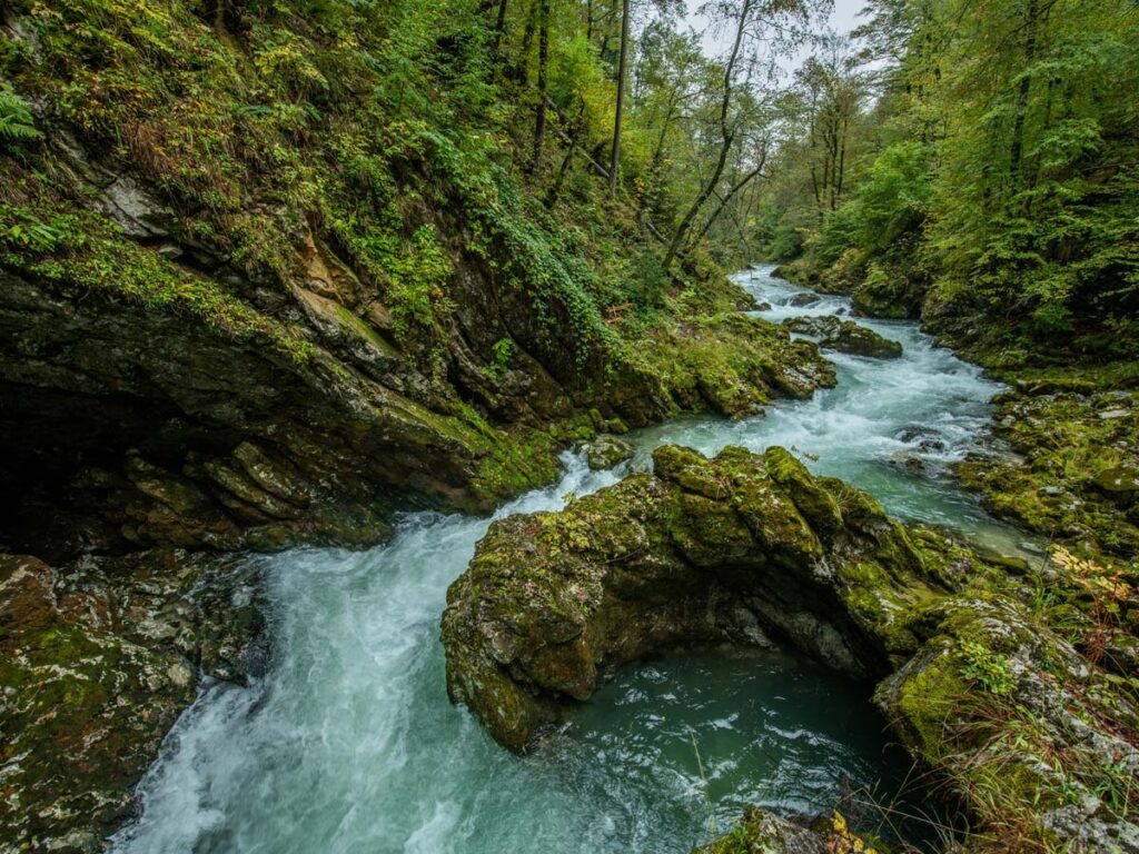 The Radovica River courses through Vintgar Gorge and the Julian Alps near Podham, Slovenia.