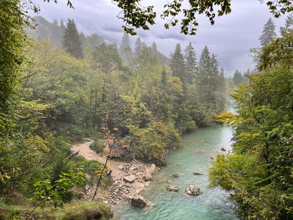 Vintgar Gorge opens up to alpine forest in Slovenia.