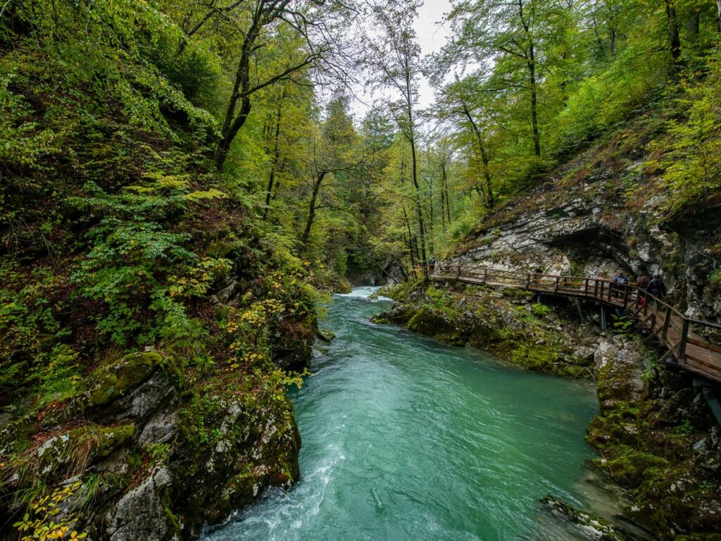 Tourists walk along the walkways of Vintgar Gorge in Slovenia.