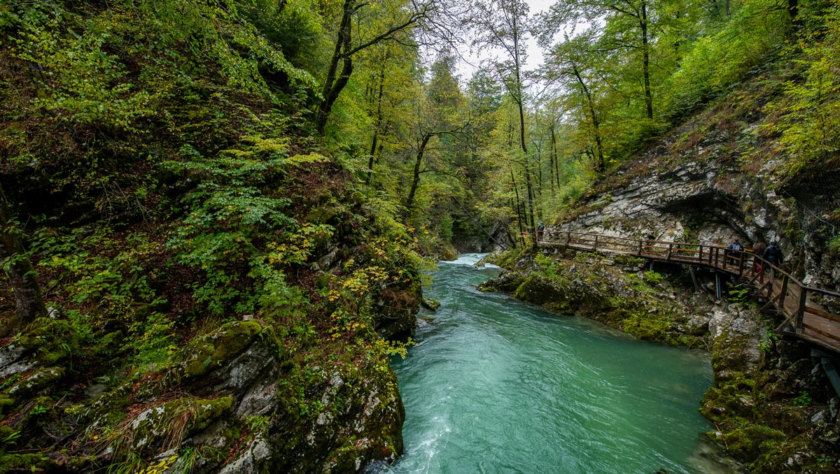 Tourists walk along the walkways of Vintgar Gorge in Slovenia.