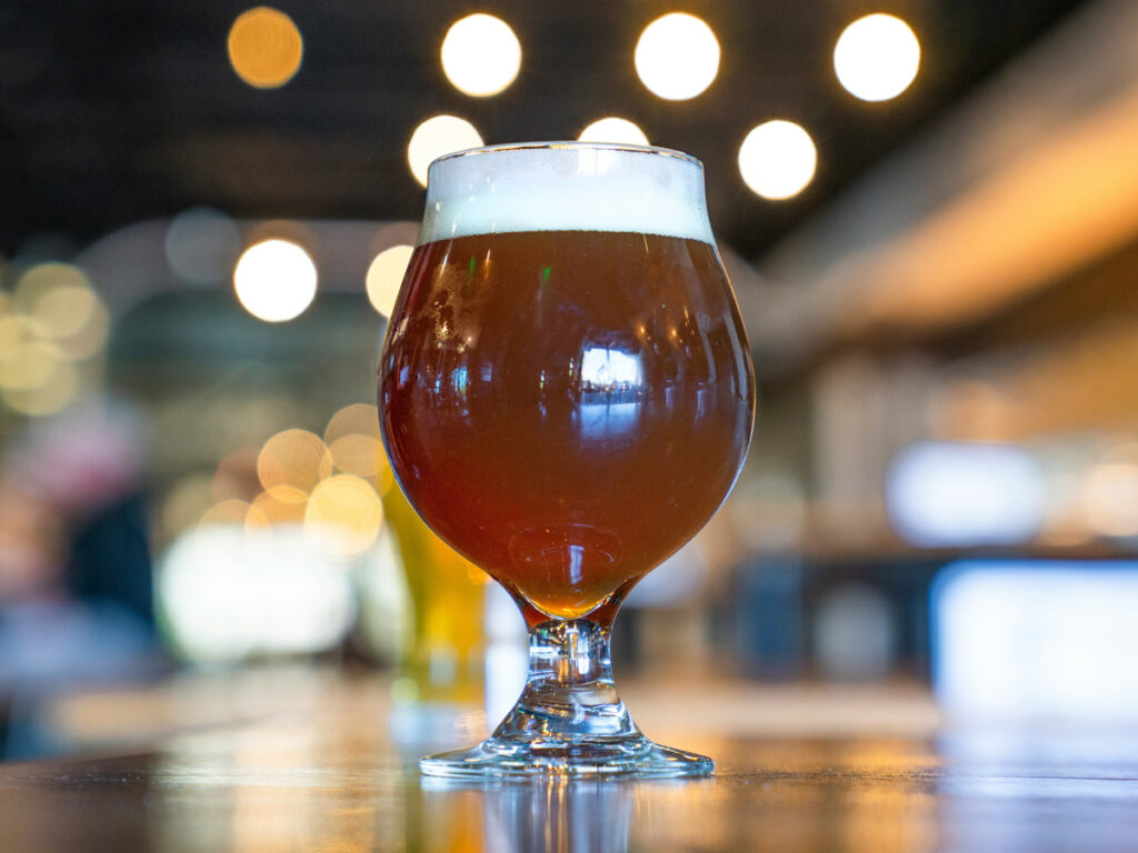 A solitary tulip glass of beer.