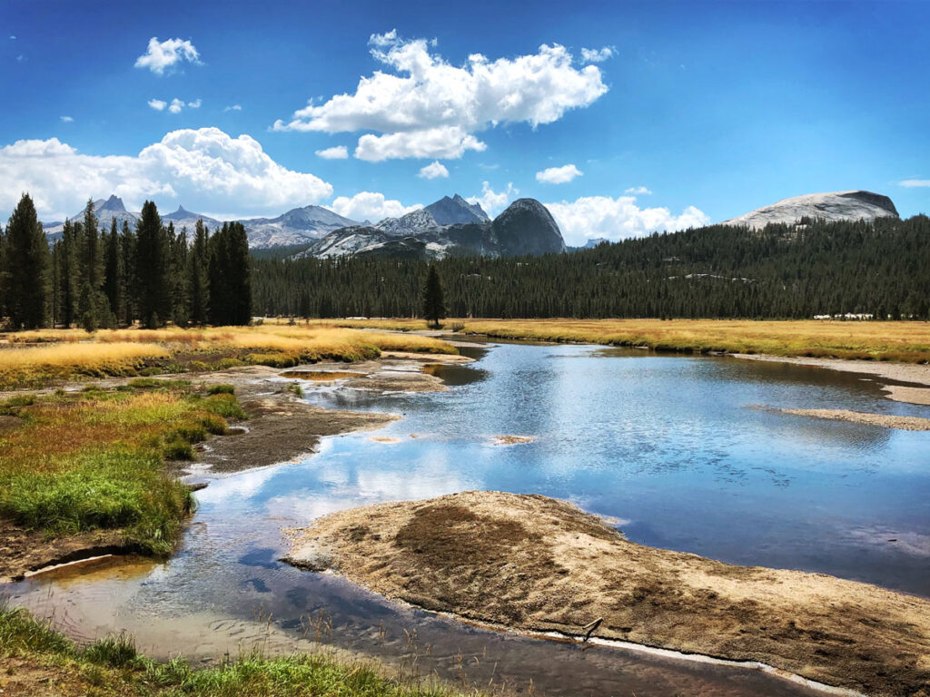 Gentle streams cross Tuolumne Meadows in Yosemite National Park.