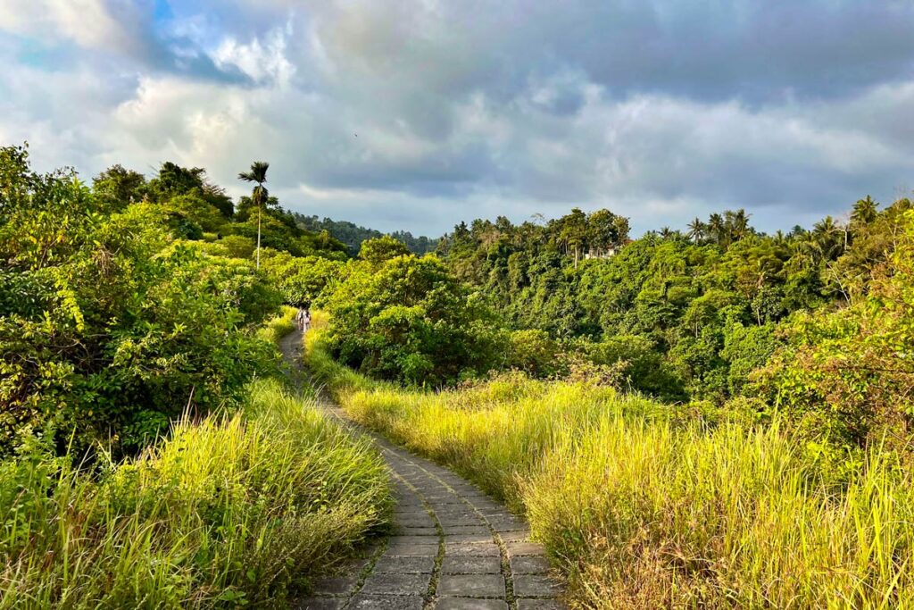 Two distant figures walk along the Campuhan Ridge Walk in Ubud, Bali, in the soft light of evening.