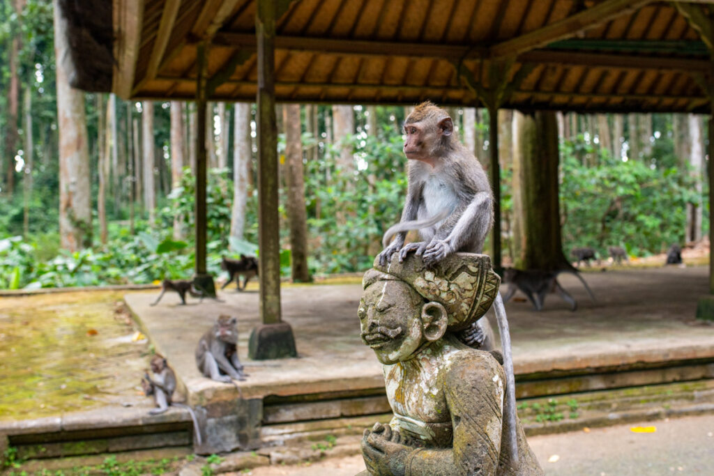 A macaque sits atop a stone Hindu statue in Sangeh Monkey Forest outside of Ubud, Bali.