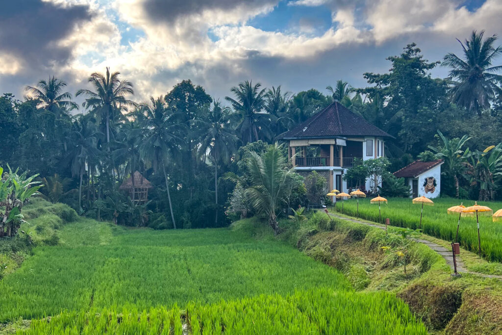 A small footpath, lined with yellow umbrellas, cuts through a green rice paddy to Ubud Yoga House. The open-air, two-story building sits at the edge of palm-lined jungle.