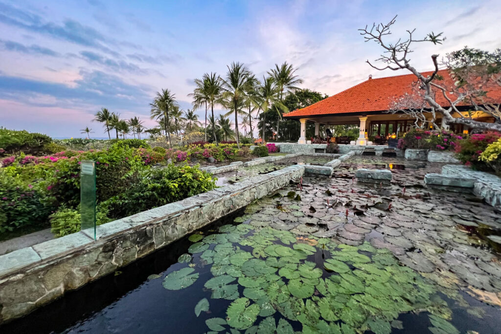 A pond full of lily pads, with a muted sunset, at the Grand Hyatt Bali in Nusa Dua.