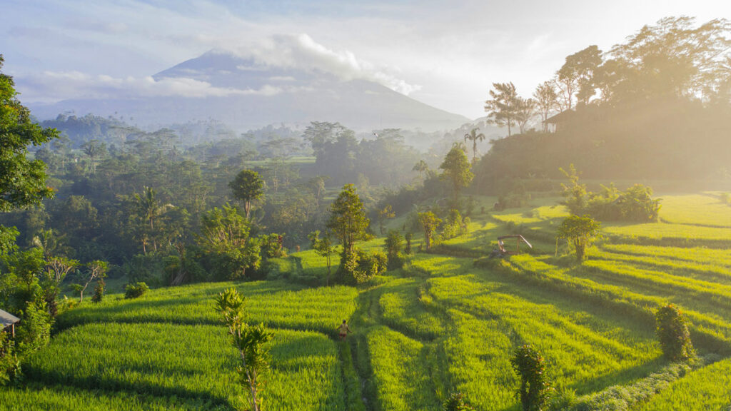 A distant volcano rises in the mist above green rice terraces in Bali, Indonesia.