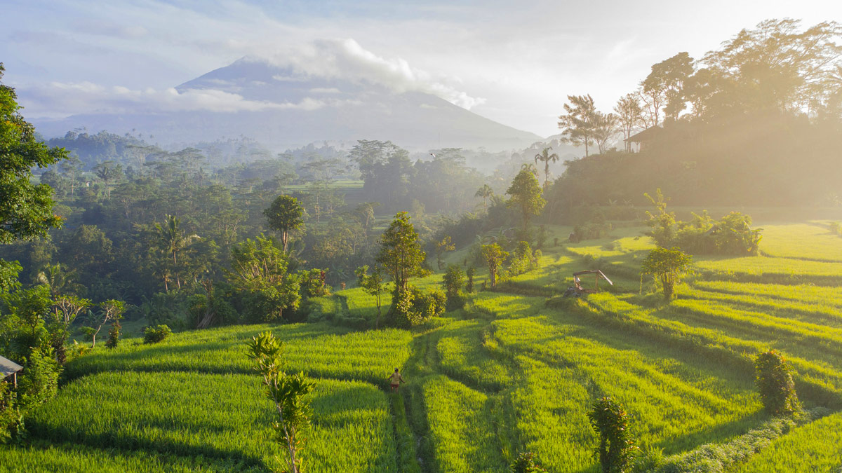 A distant volcano rises in the mist above green rice terraces in Bali, Indonesia.