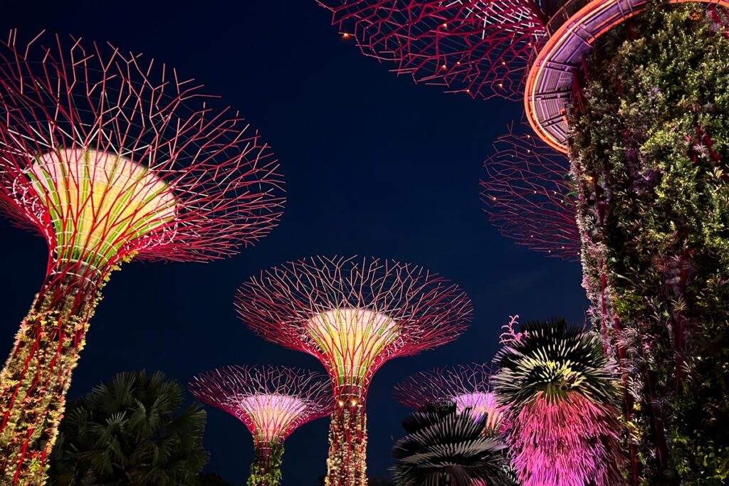 The Supertree grove in Singapore's Gardens by the Bay are lit in bright hues of pink, green, and yellow against a nighttime sky