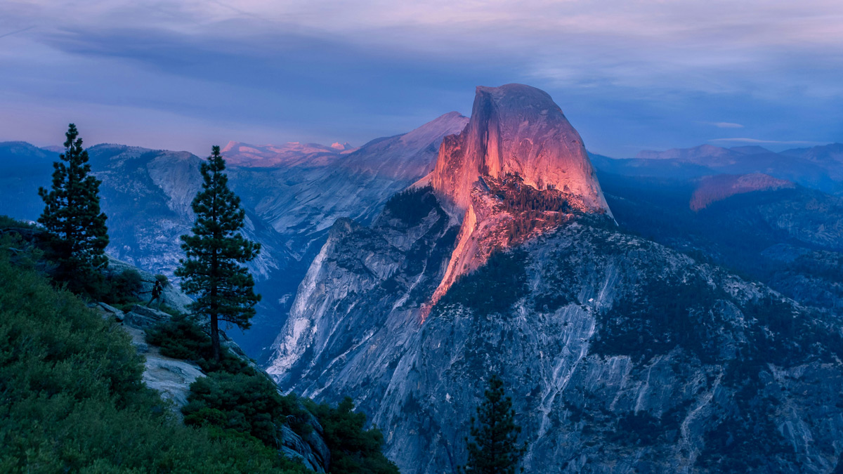 A rosy alpenglow falls across the face of Half Dome in Yosemite National Park at dusk.