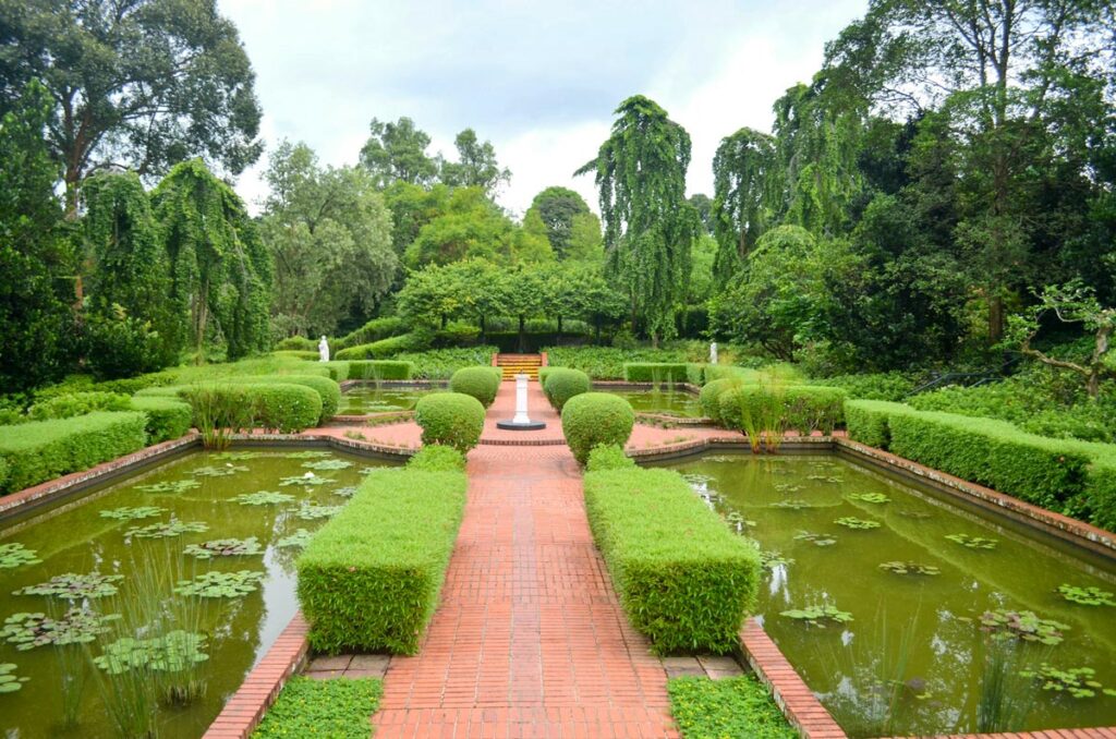 A tranquil pond with lily pads and a red brick walkway in the Singapore Botanic Gardens