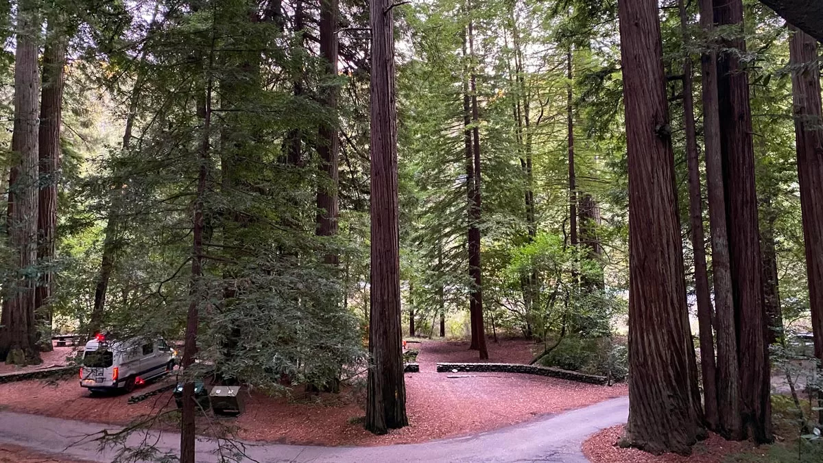 A lone camper van sits underneath towering redwood trees at Jedidiah Smith Campground, in Redwood National Park.