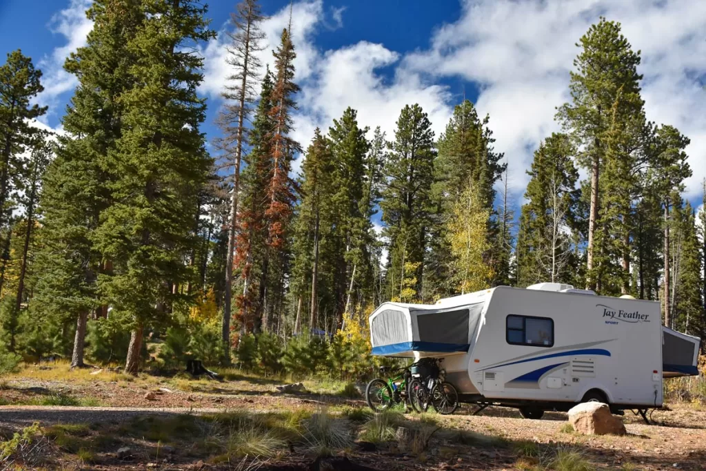 A campervan is parked along a forested dirt path, surrounded by tall pine trees, in DeMott Campground outside of Grand Canyon National Park.