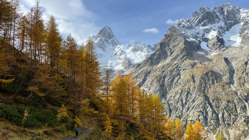 A solitary hiker ascends a mountain ridge towards a copse of trees bright with fall foliage near Courmayeur, Italy. Courmayeur is one of the most popular destinations for hiking in Aosta Valley