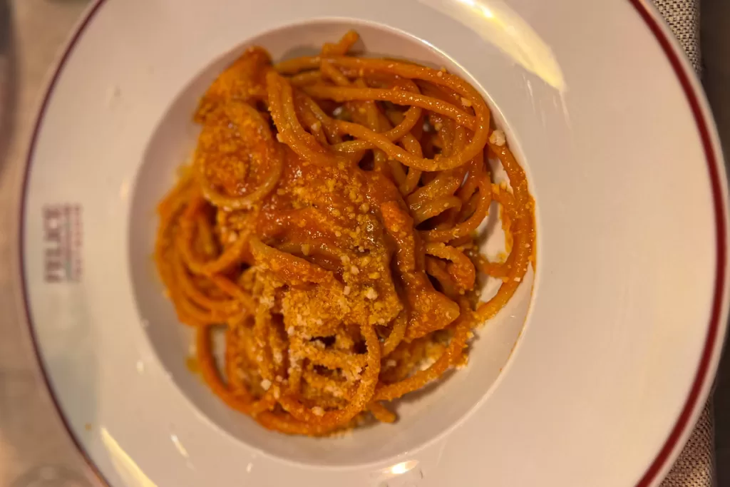 A bowl of bucatini noodles is served alla Amatriciana, with red tomato sauce and a liberal serving of pecorino cheese.